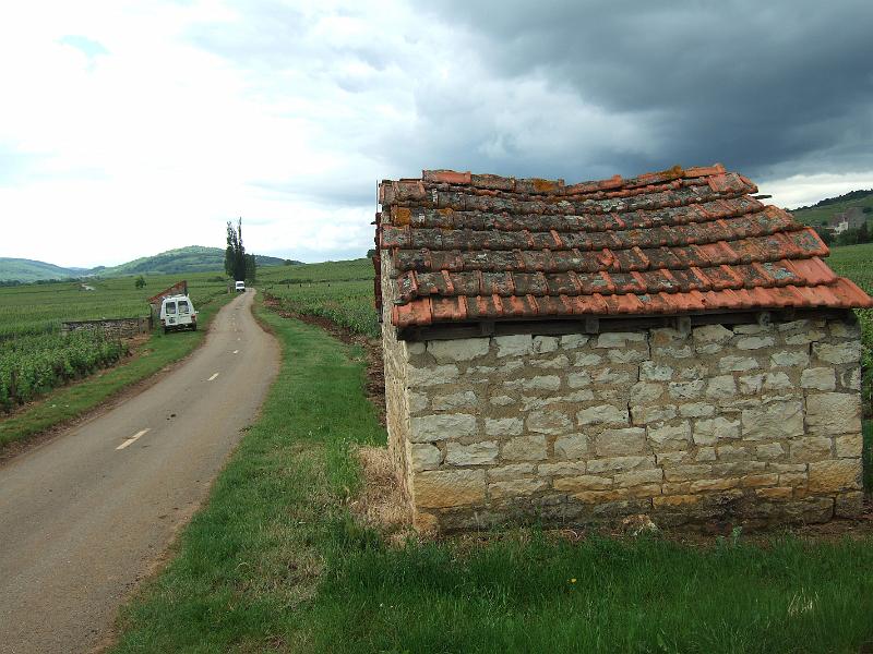 2010-05- (96).JPG